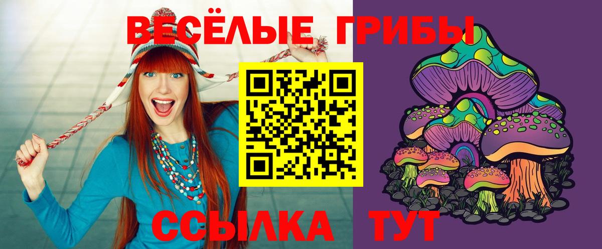 Псилоцибиновые грибы мицелий  Псилоцибиновые грибы MAGIC MUSHROOMS  Углич  Вход с VPN 